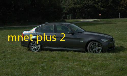 货源网发卡网mnet plus 2.14